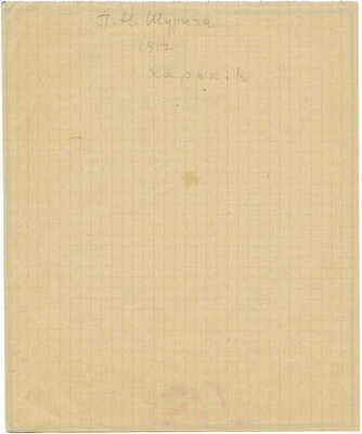 Шурига Пелагея Николаевна. Женский портрет